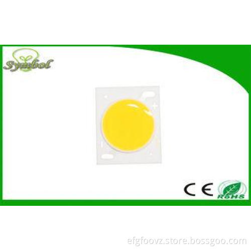 20 * 24MM COB Led 17.5mm Luminous Surface RA80 3 - 30w For